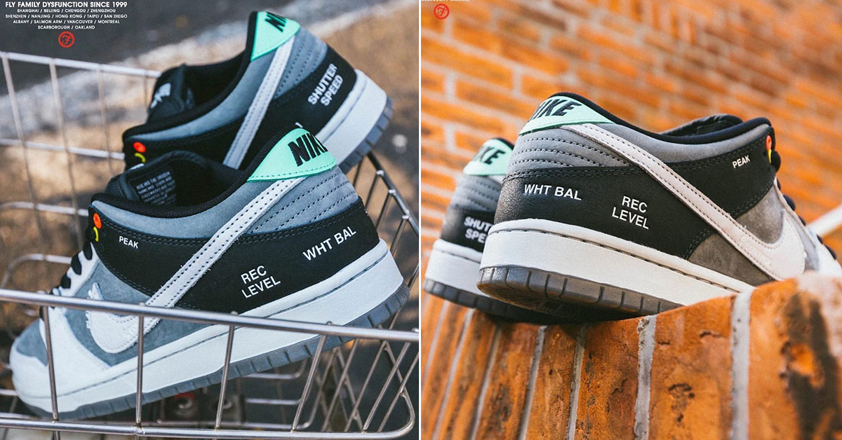 Camcorder-Inspired Dunk Low 